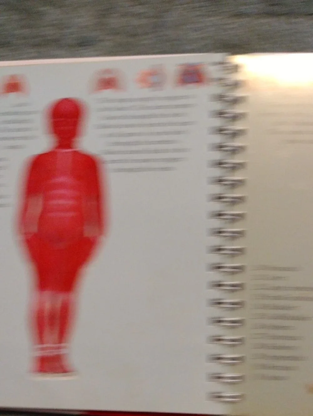 3/$15 - The Human Body